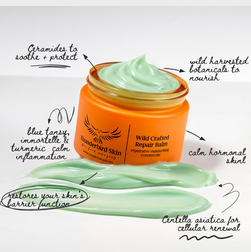 An open jar of ThunderBard Skin Wild Crafted Repair Balm with a swirl of pale green balm above it, surrounded by handwritten callouts describing ingredients and skin benefits on a white background.